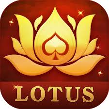 teen patti fu download